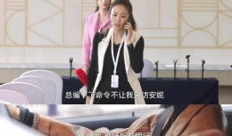 新闻女王文姐被爆料视频,真相究竟如何？