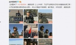 卓伟爆料某明星刘涛视频,刘涛私密视频曝光，真相究竟如何？