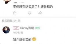 最新爆料视频在哪,深度解析事件背后真相